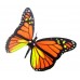 Robotic Insect: Life-like Moving Butterfly - Monarch