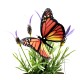 Moving Robot Butterflies - AC