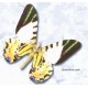 Robotic Insect: Life-like Moving Butterfly - Glow in the Dark Tropical Skipper