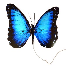 Robotic Insect: Life-like Moving Butterfly - Blue Morpho USB