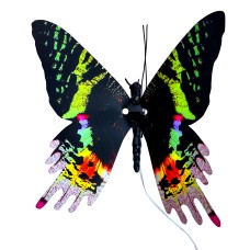 Robotic Insect: Life-like Moving Butterfly - Urania AC